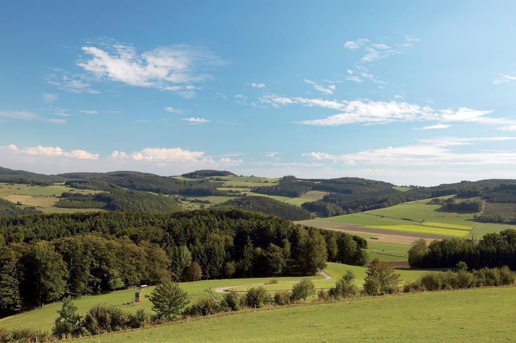 Wellnesshotel Buergerstuben Willingen  Exterior photo
